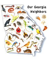 Animals found in Georgia